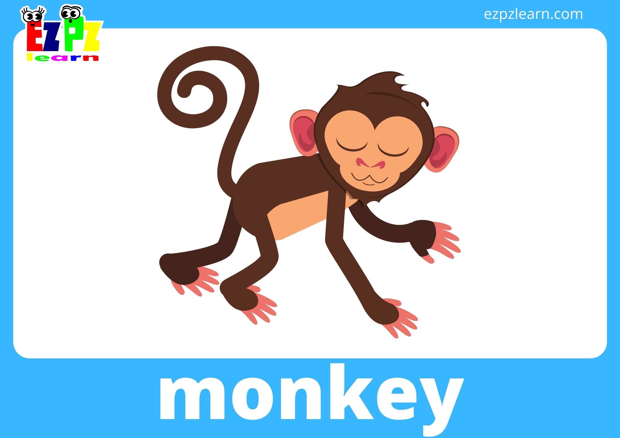 monkey